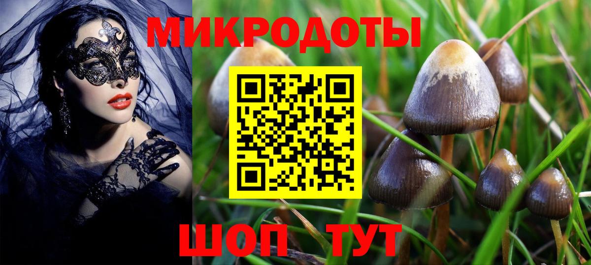 Галлюциногенные грибы прущие грибы  Вход с VPN  Тверь 