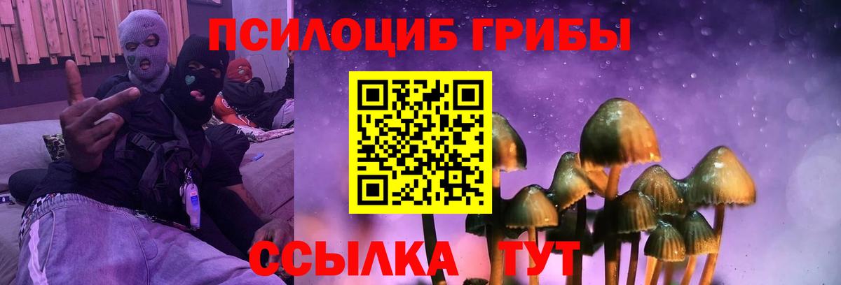 Галлюциногенные грибы Magic Shrooms Тверь